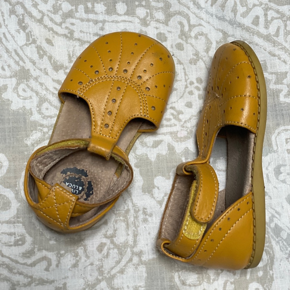 Livid and Luca size 7 shoes